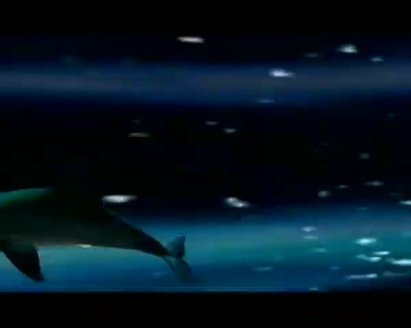 Ecco the Dolphin: Complete