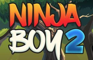 Ninja Boy 2
