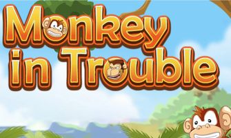 Monkey in Trouble