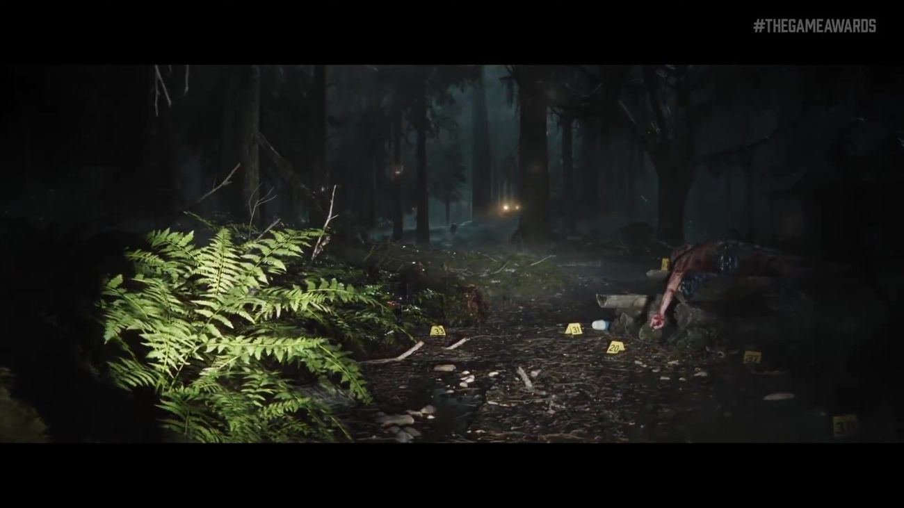 Alan Wake 2