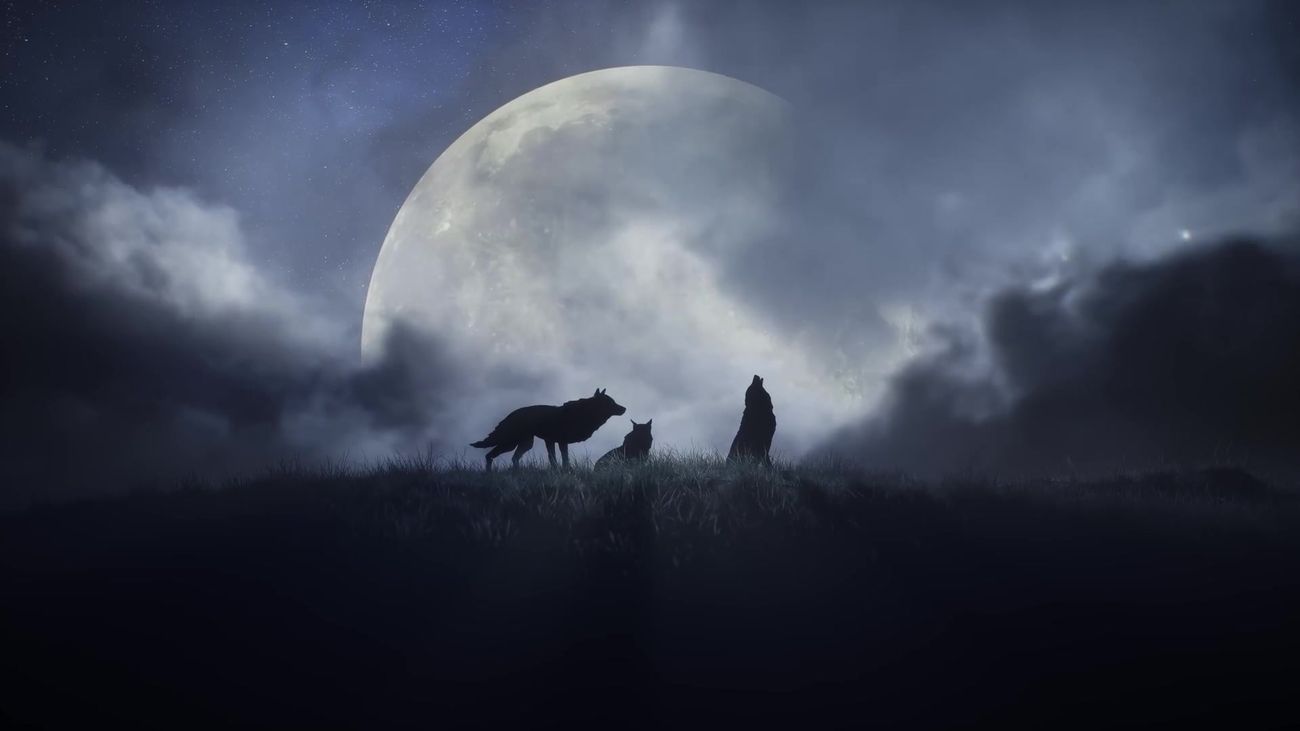 The Blood of Dawnwalker