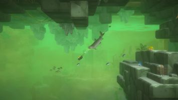 Dave the Diver: In the Jungle
