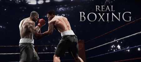 Real Boxing